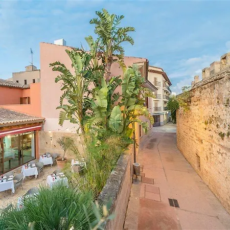 Petit - Turismo De Interior Alcudia (Mallorca)
