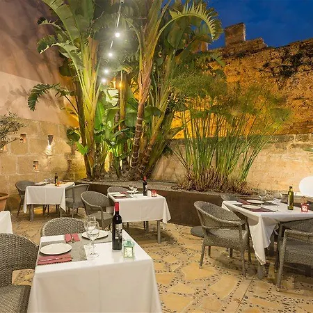 Petit - Turismo De Interior Alcudia (Mallorca)